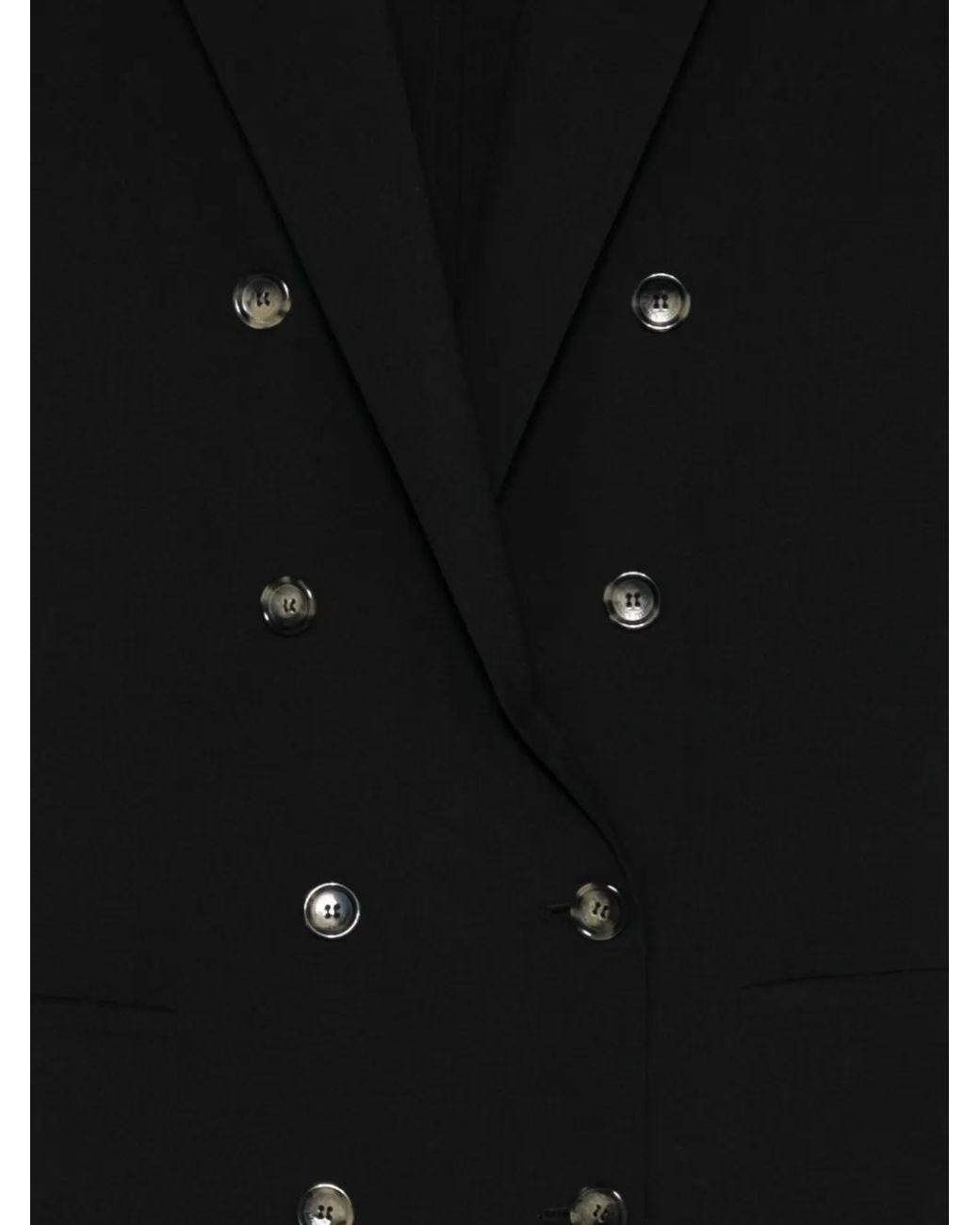 Alberta Ferretti Black Double-Breasted Blazer