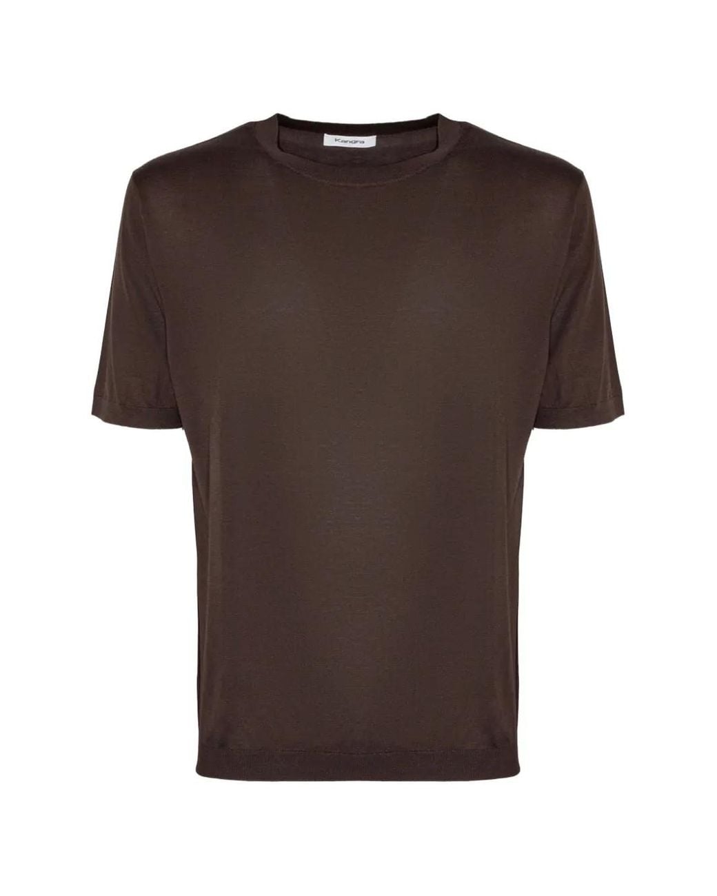 Kangra Brown Crewneck Knitwear for men