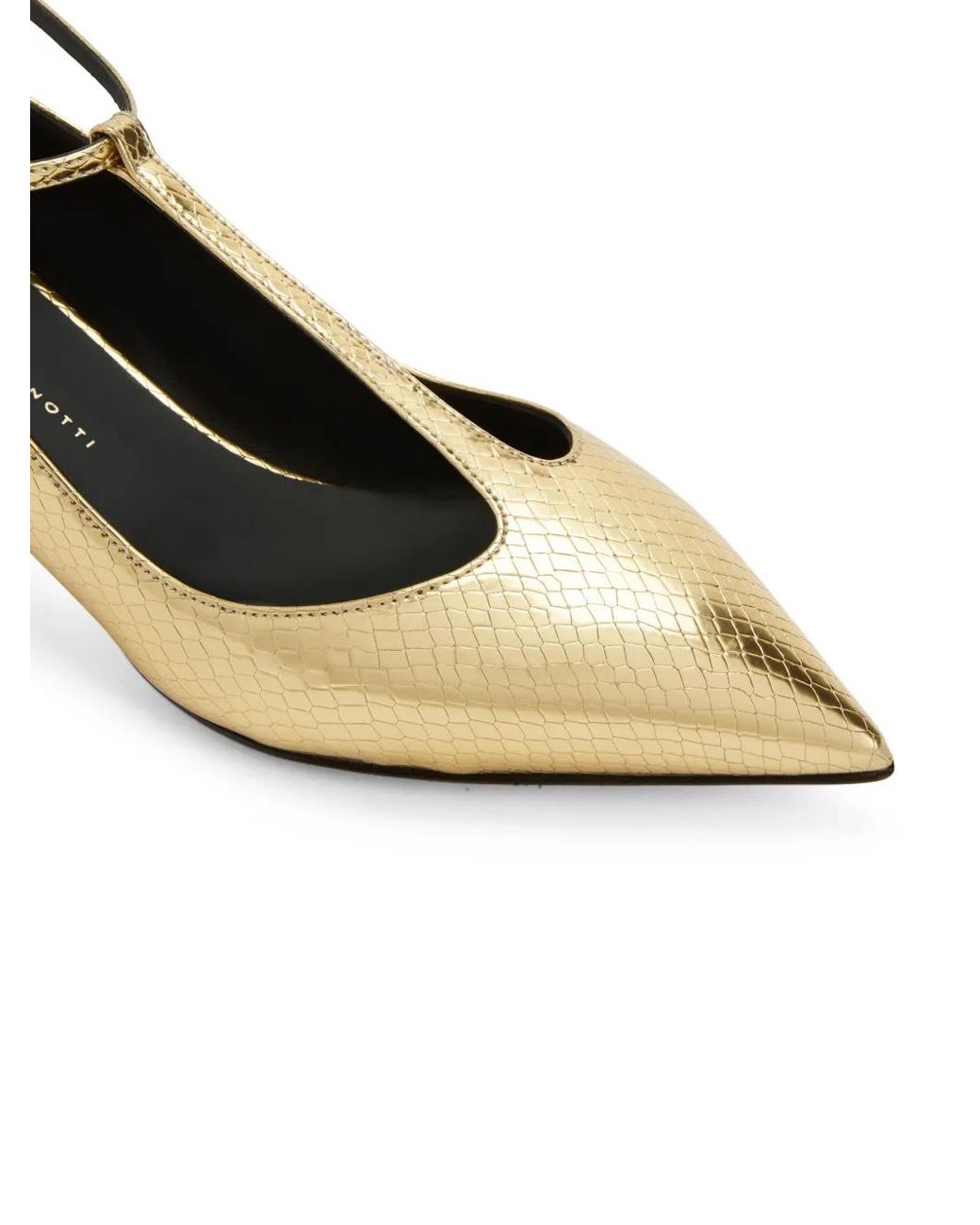 Giuseppe Zanotti Natural Pumps