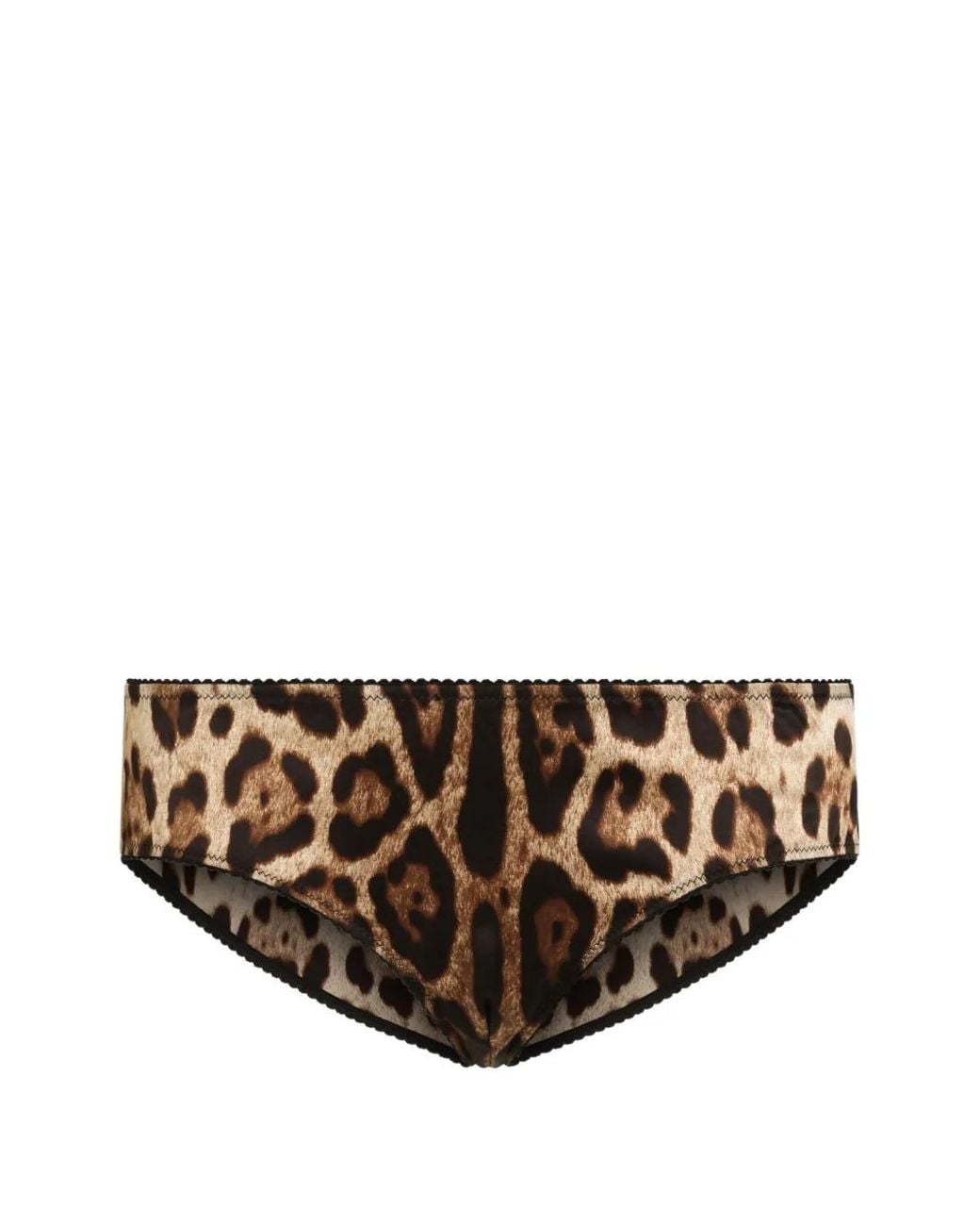 Dolce & Gabbana Brown Leopard-Print Briefs
