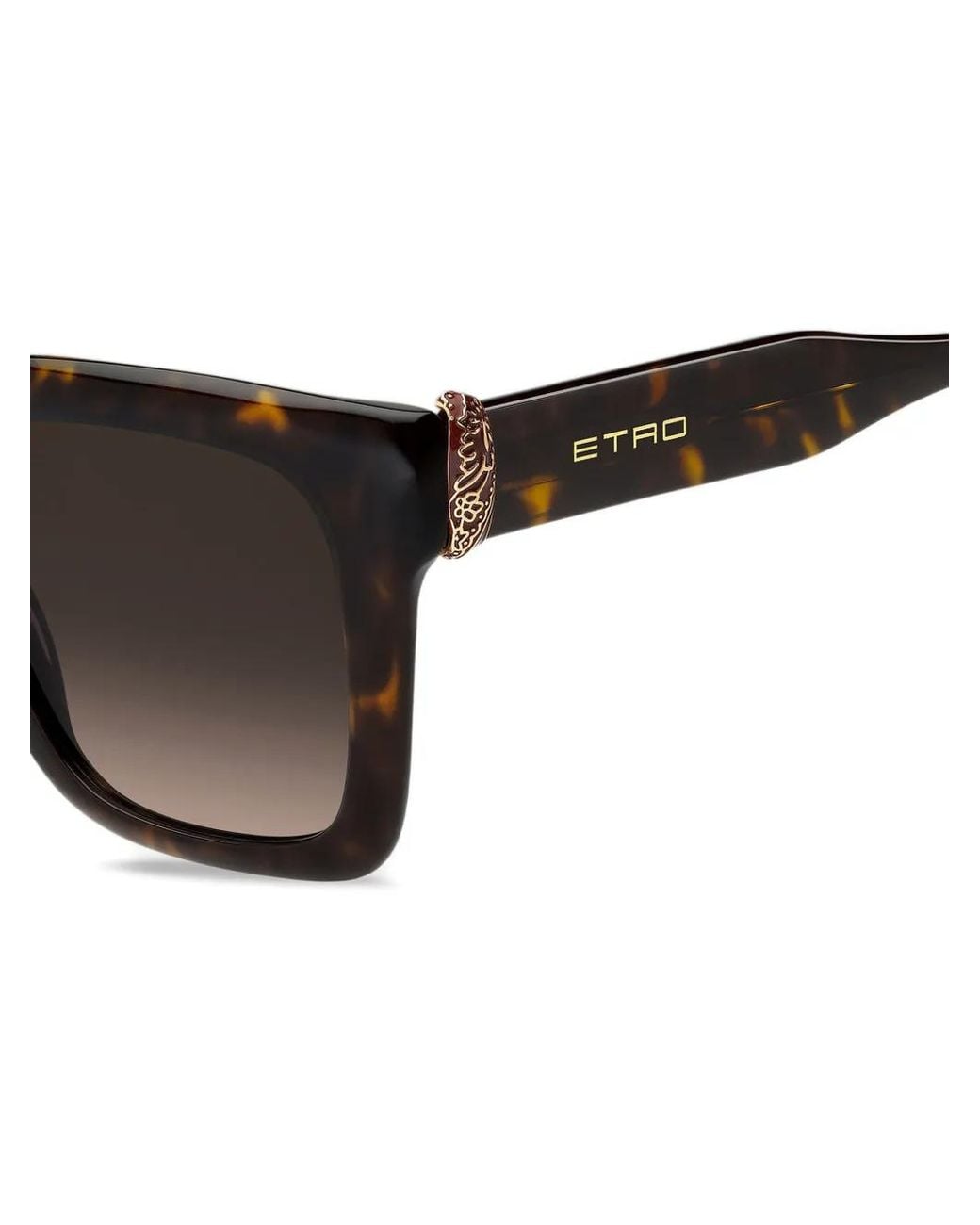 Etro Gray Fine Jewelry Sunglasses