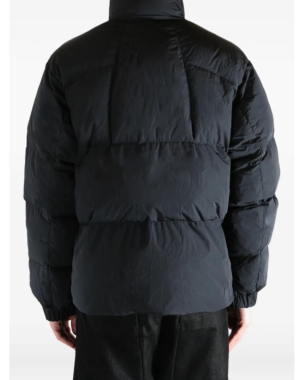 Goldwin パデッドジャケット Black