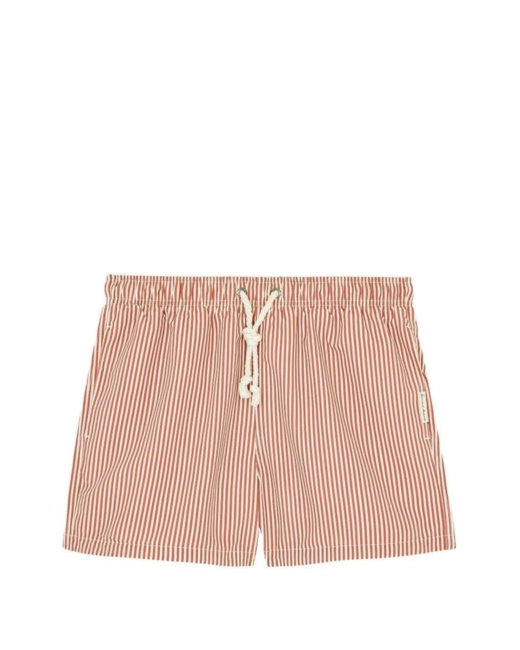 GASSA D'AMANTE Pink Striped Drawstring Swim Shorts for men
