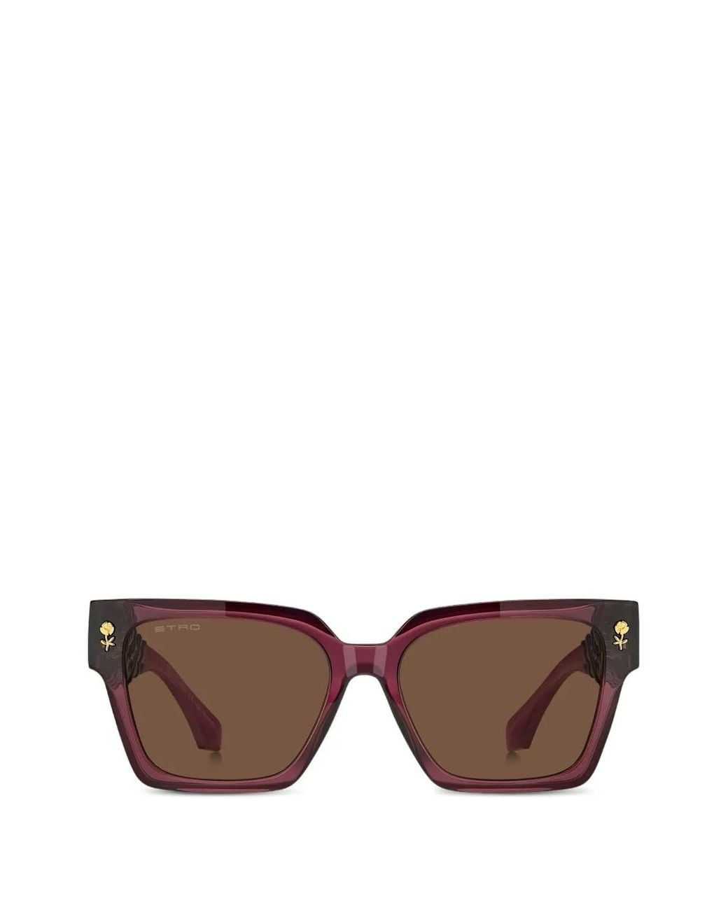 Etro Brown Flower-Detail Sunglasses