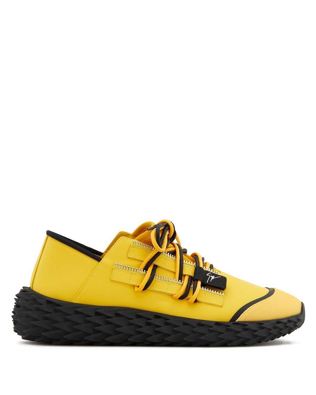 Giuseppe urchin on sale