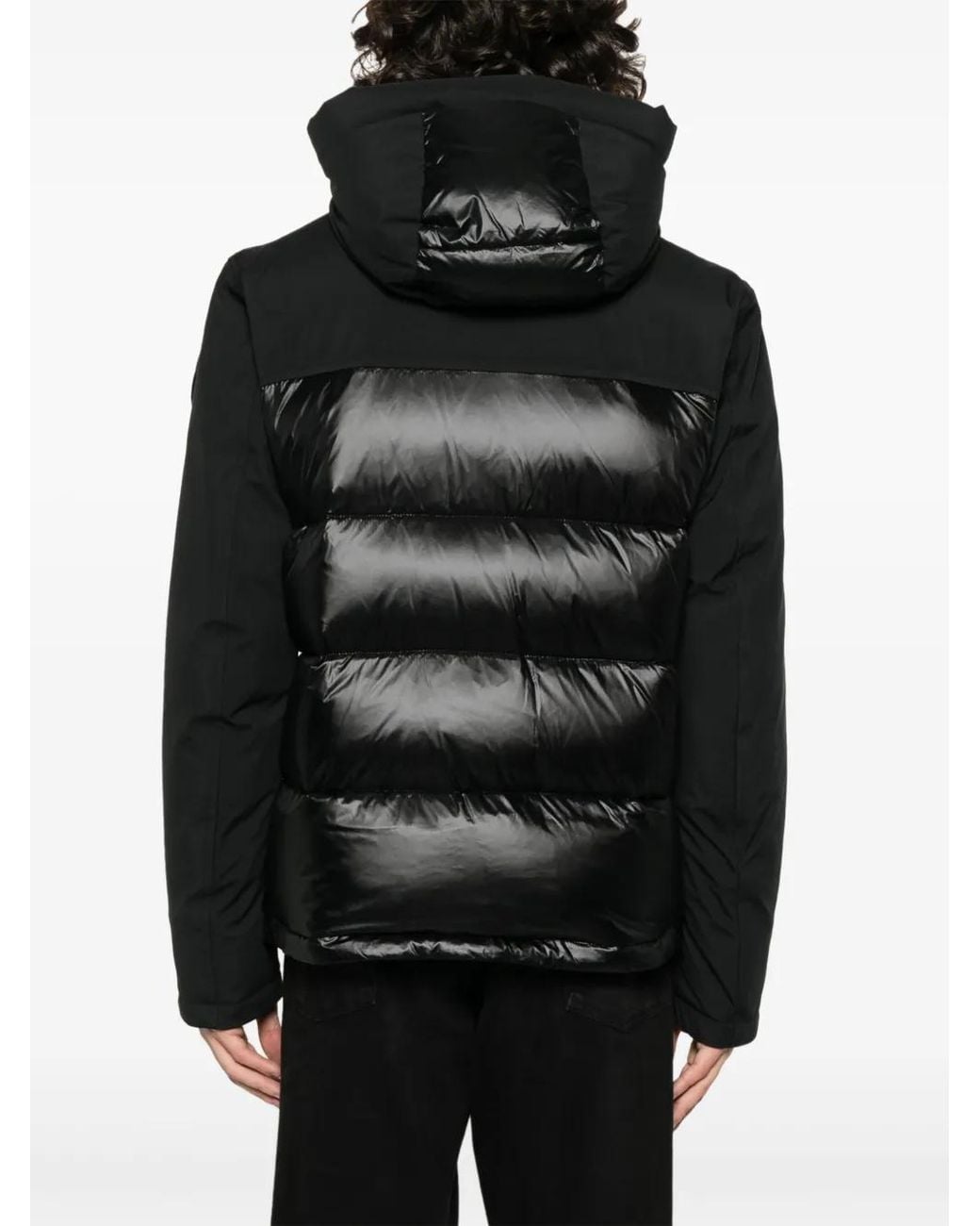 Blauer Black Logo-Appliqué Padded Jacket for men