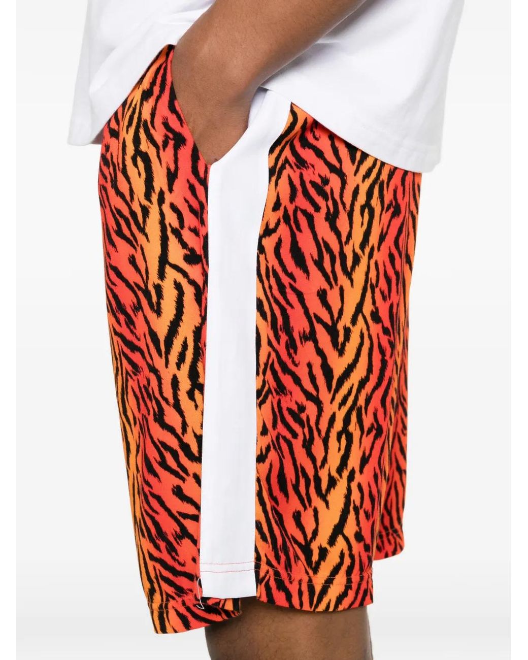 BLUE SKY INN Red Tiger-Print Side-Stripe Shorts for men