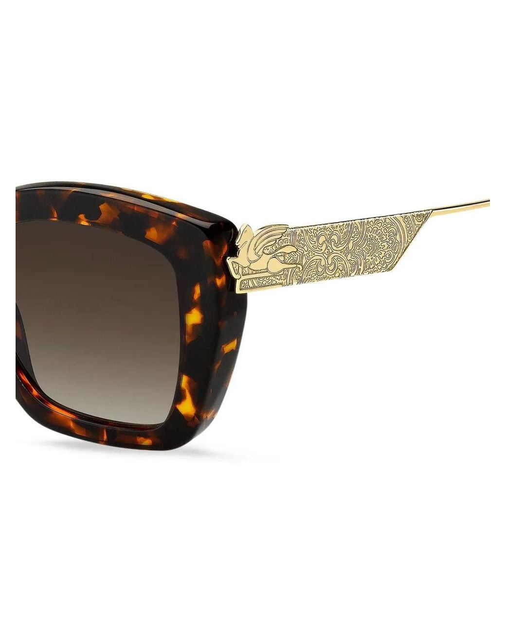Etro Brown Curved Acetate Pegaso Sunglasses