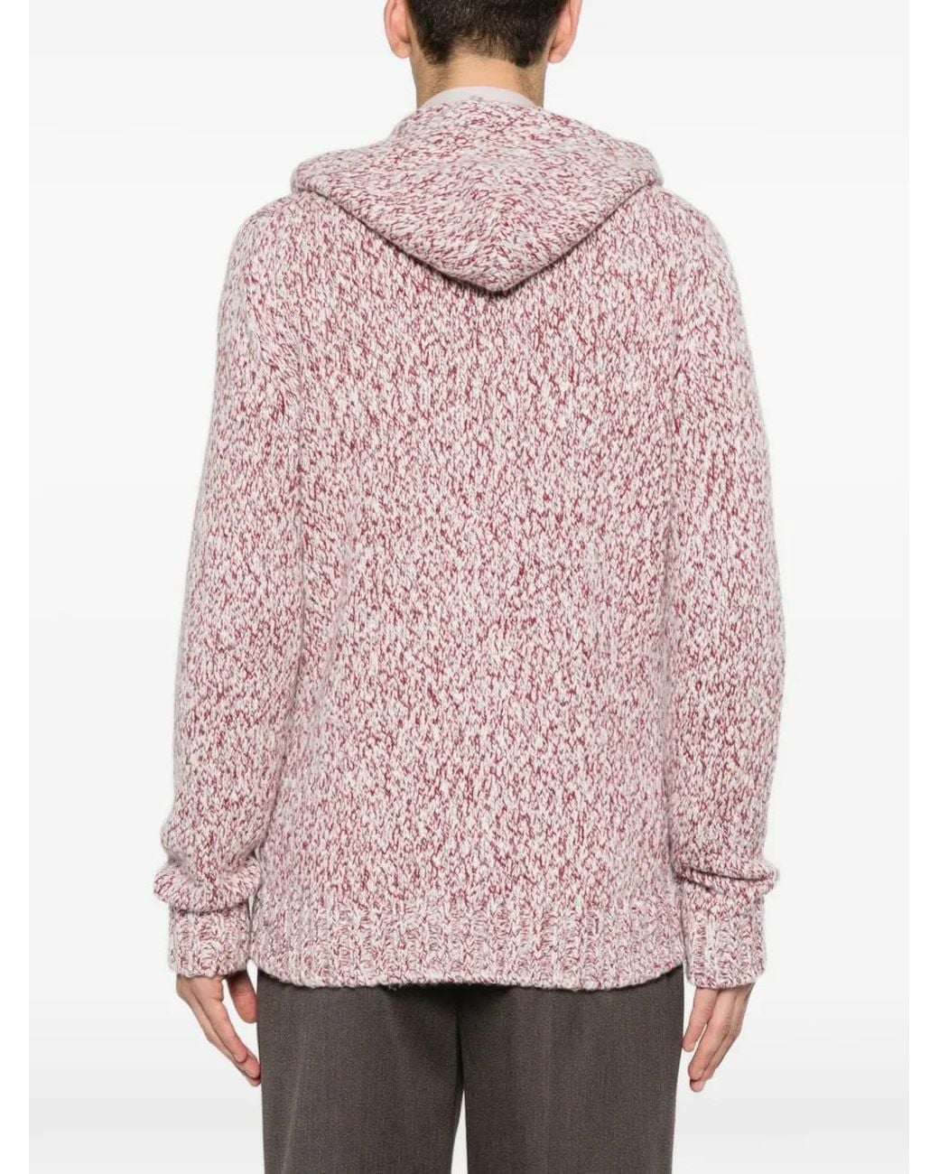 Eleventy Pink Zip-Up Hood Cardigan for men