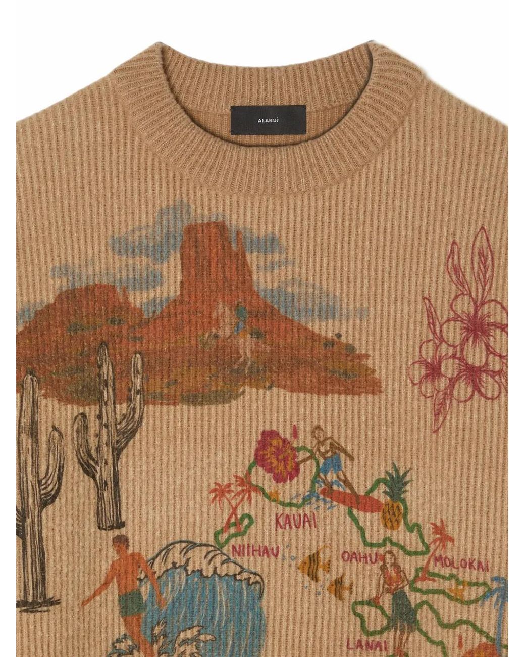 Alanui Brown Decade Graphic-Print Sweater for men