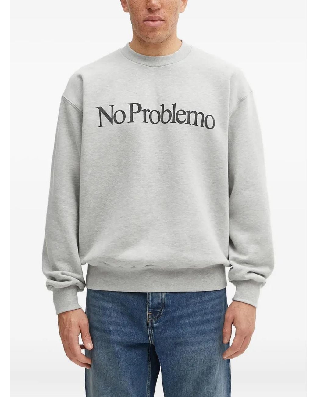 No Problemo Gray Logo-Detail Crew-Neck Sweater for men