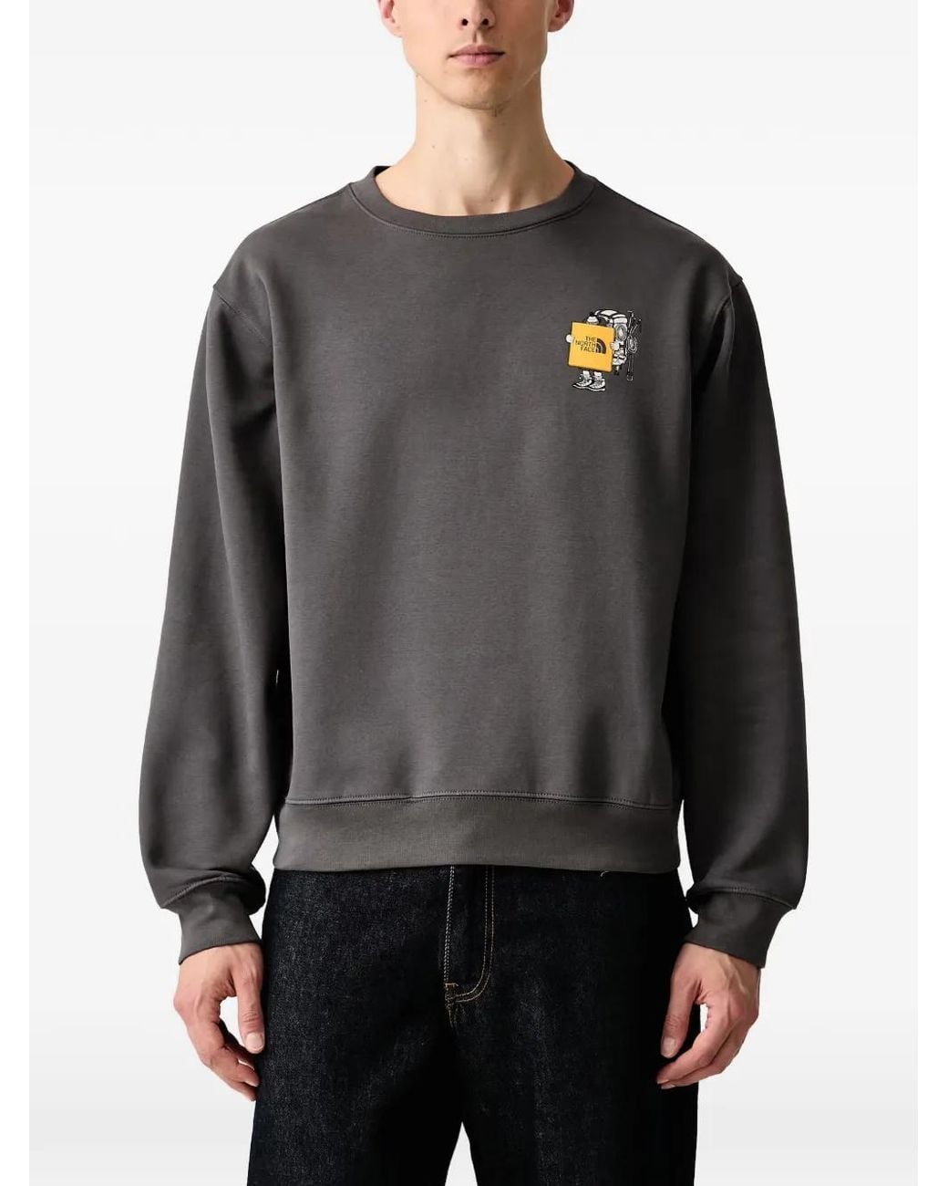 The North Face Gray Gear Up Get Out Relaxed Crew—Graphic Sweater for men