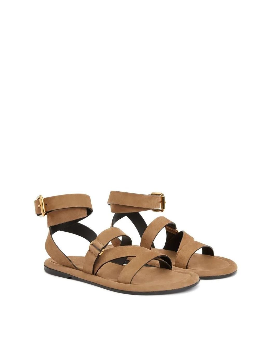 Giuseppe Zanotti Brown Aymon for men