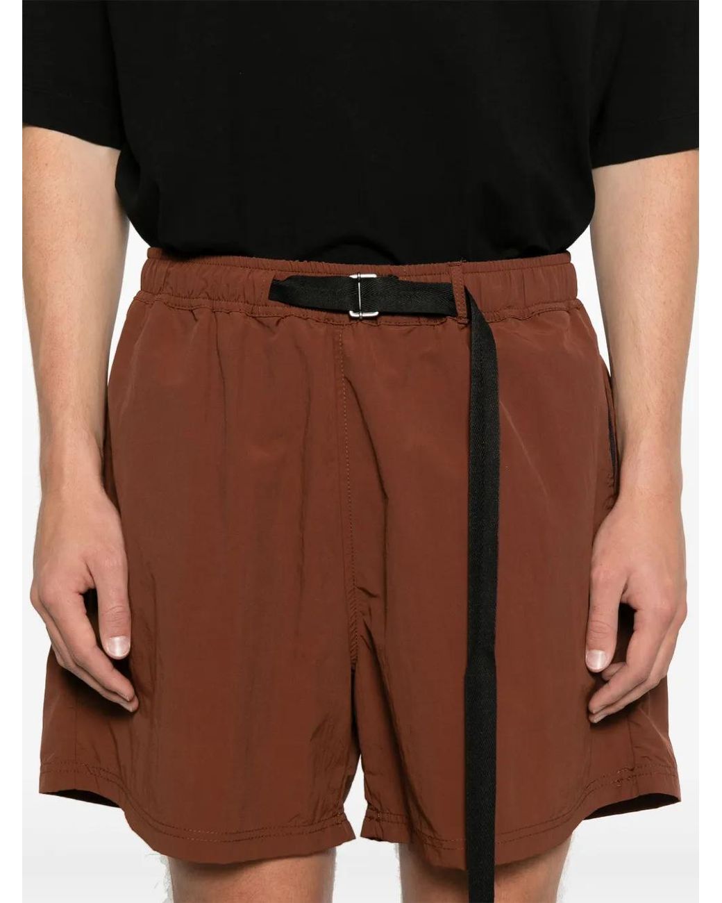 Paura Brown Harlem Shorts for men