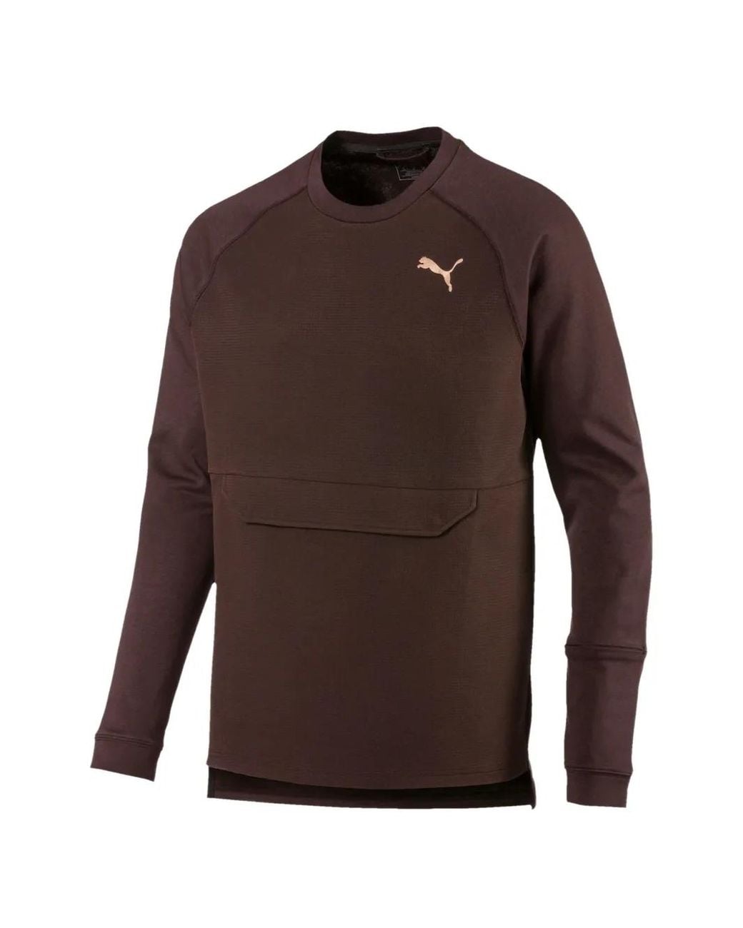 PUMA Brown Desert Actum Long-Sleeve T-Shirt for men