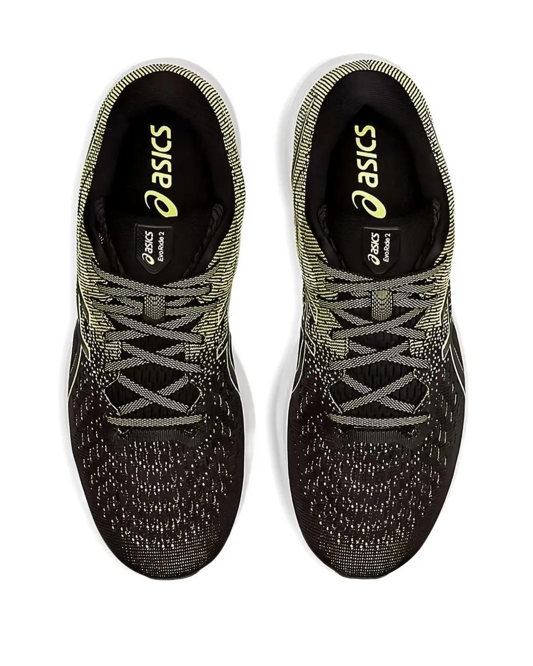 PUMA Green Evoride 2 Trainers
