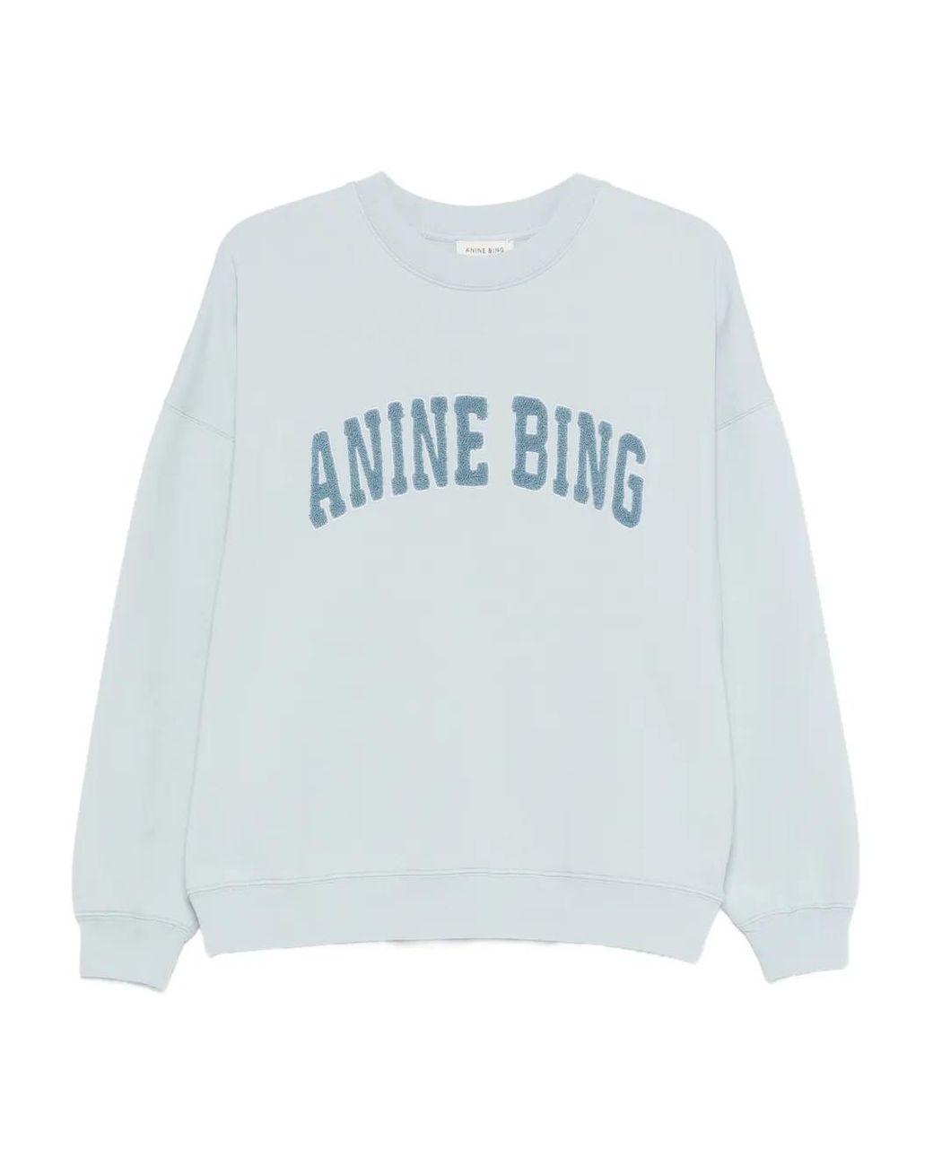 Anine Bing Blue Miles Sweatshirt Pale