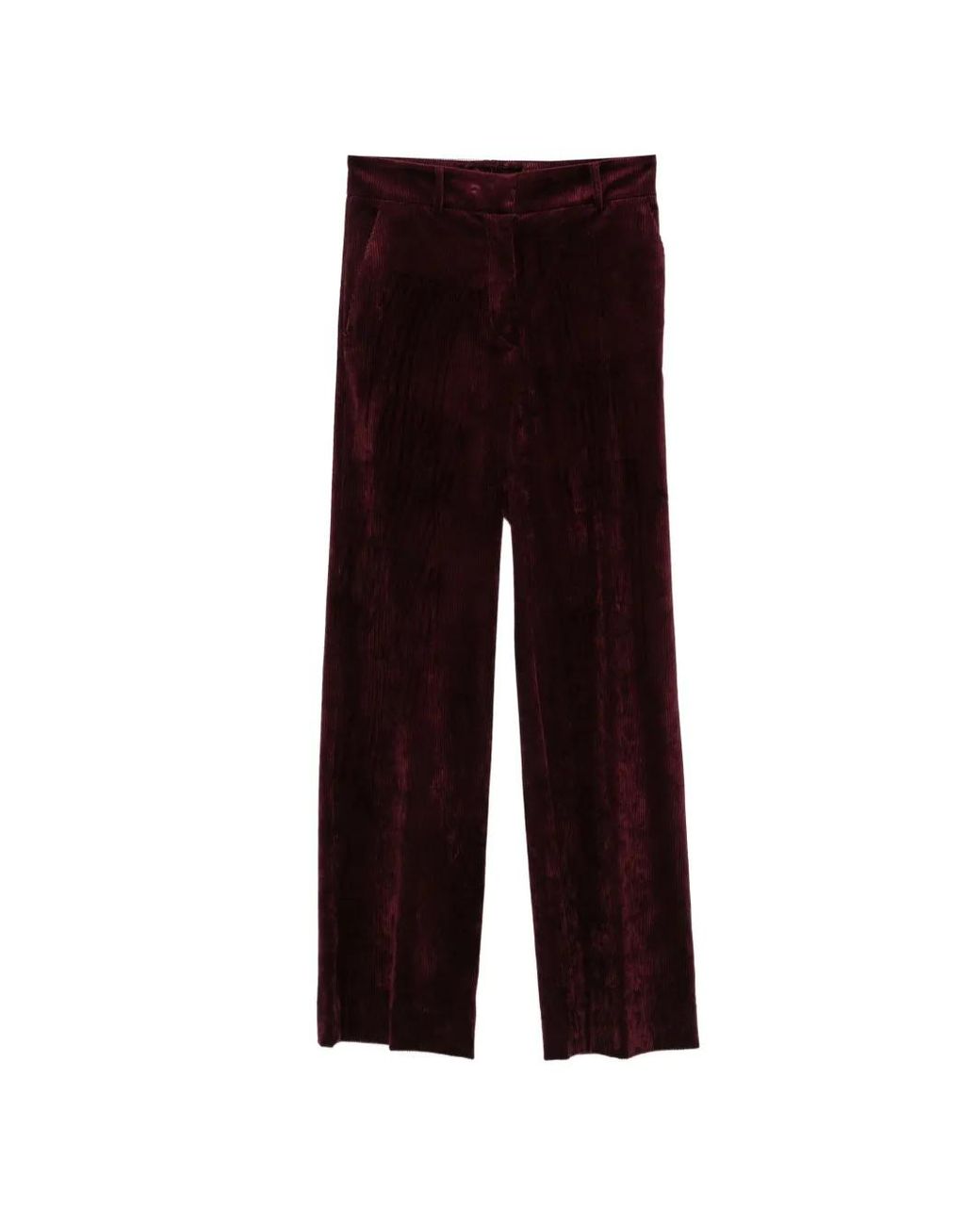 Antonelli Purple Prunelli Corduroy Trousers
