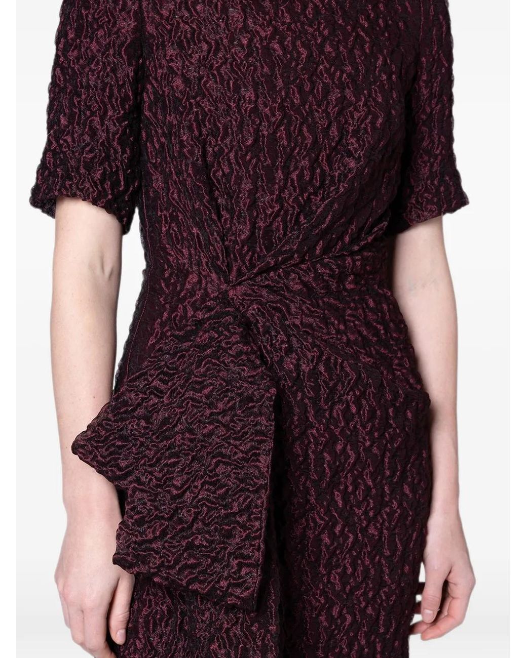 Roksanda Purple Robe Longue Syla À Taille Nouée