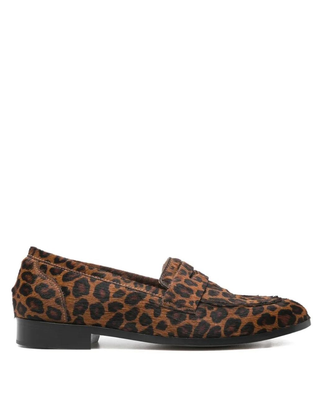 P.A.R.O.S.H. Brown Leopard Print Tassel Loafers