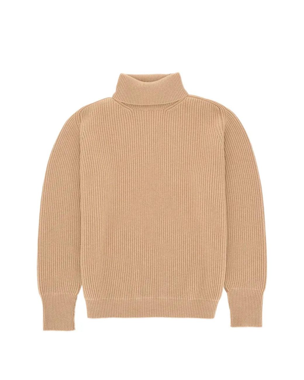 Fortela Natural Brighton High-Neck Ribbed Sweater for men