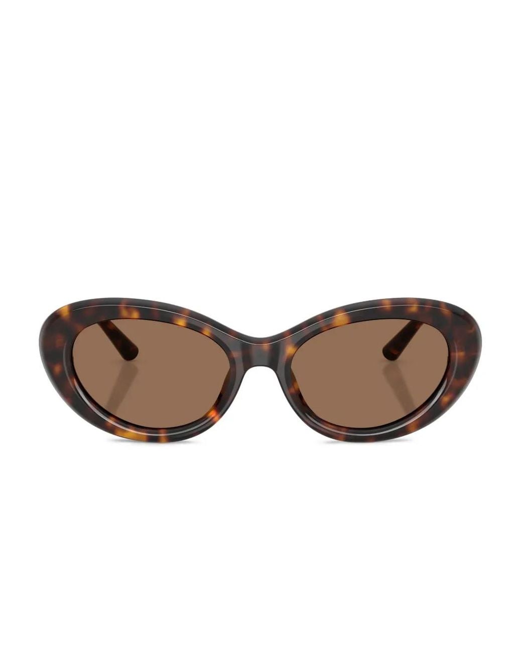 Dolce & Gabbana Brown Tortoiseshell Oval-Frame Sunglasses
