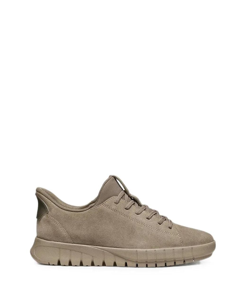 Geox Brown Suede Lace-Up Sneakers