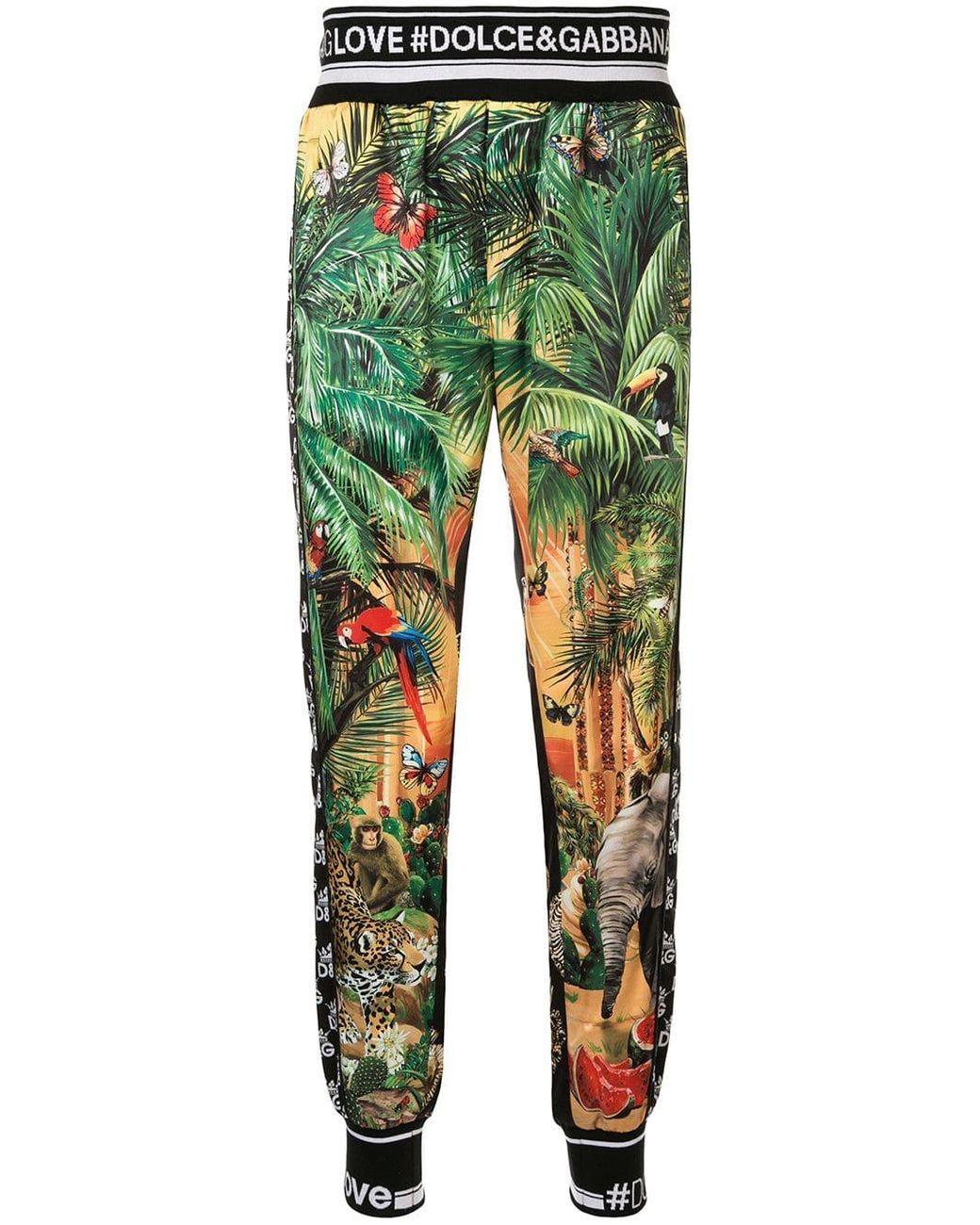 Dolce & Gabbana Jogginghose mit "Tropical DG King"-Print in Grün für Herren  | Lyst AT