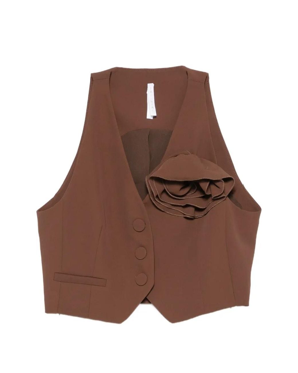 Imperial Brown Flower-Detail Cropped Top