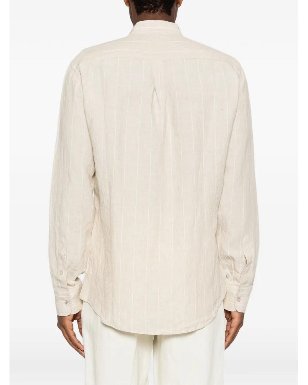 Sease White Fish Tall Striped Shirt for men