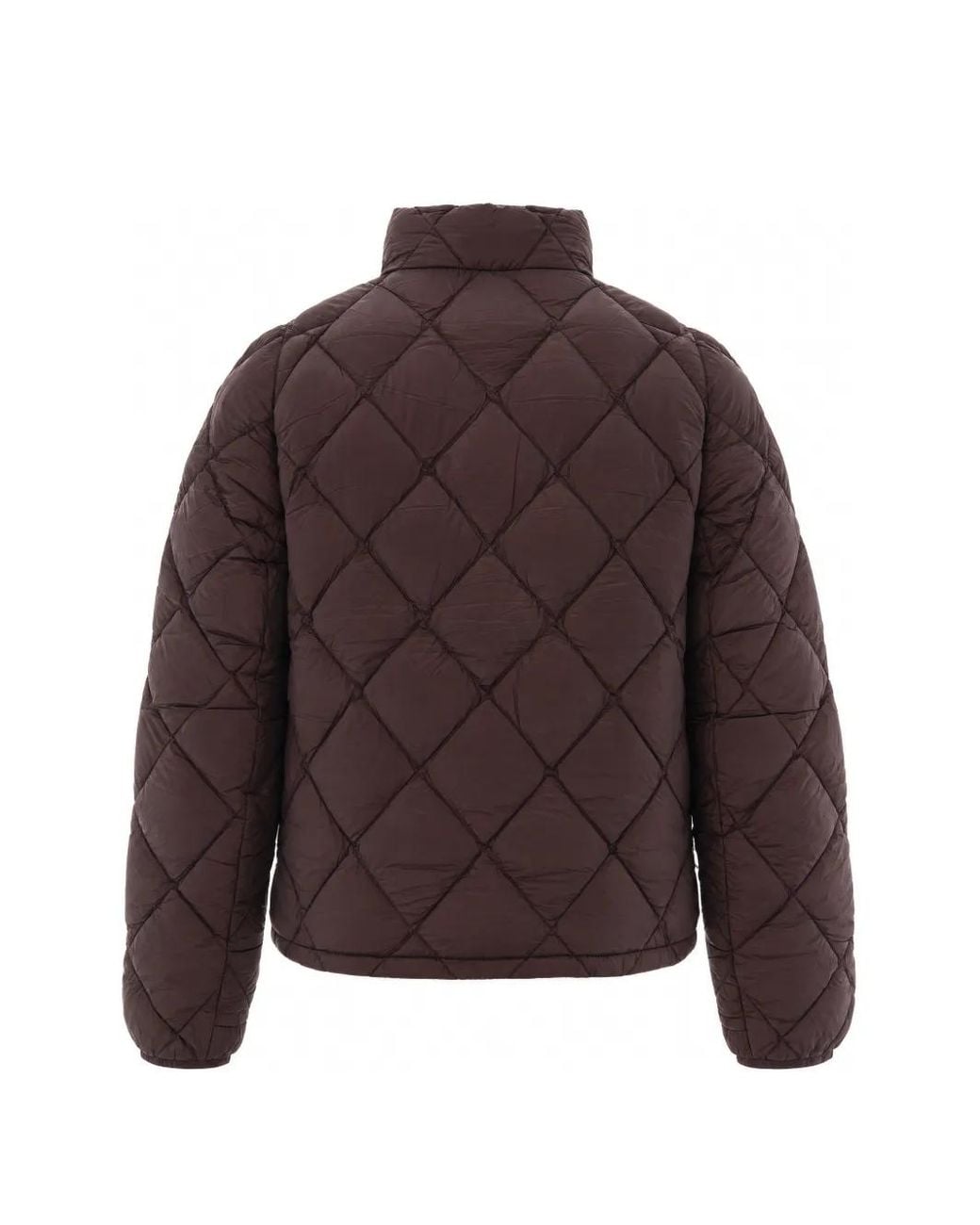 Roa Brown Nuna 800 Quilted Down Jacket for men