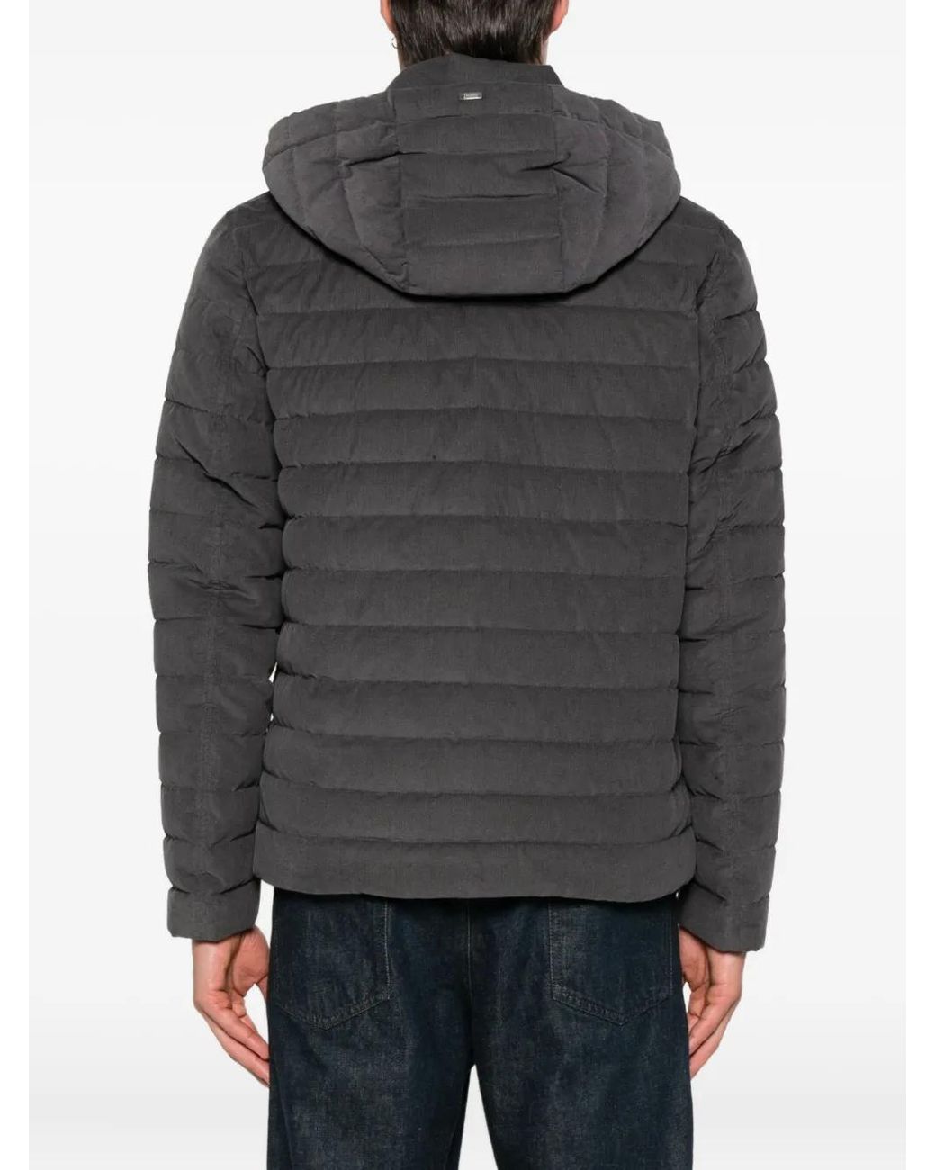 Herno Gray Cotton Cazadora for men