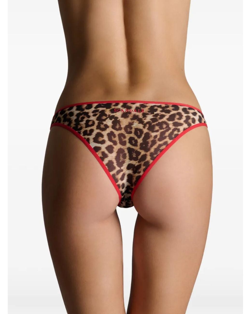 Scandale Multicolor Culotte Sauvage À Imprimé Léopard