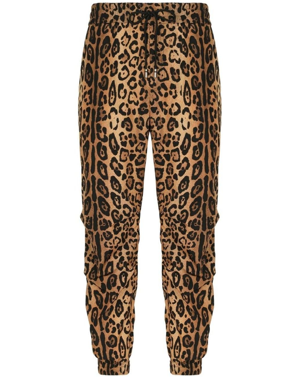 Dolce gabbana discount leopard pants