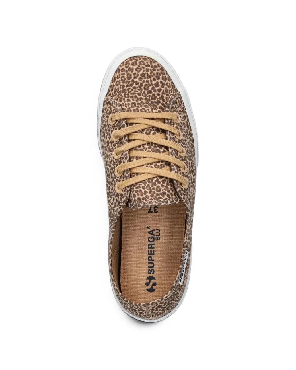 Superga Brown Baskets En Maille À Imprimé Léopard