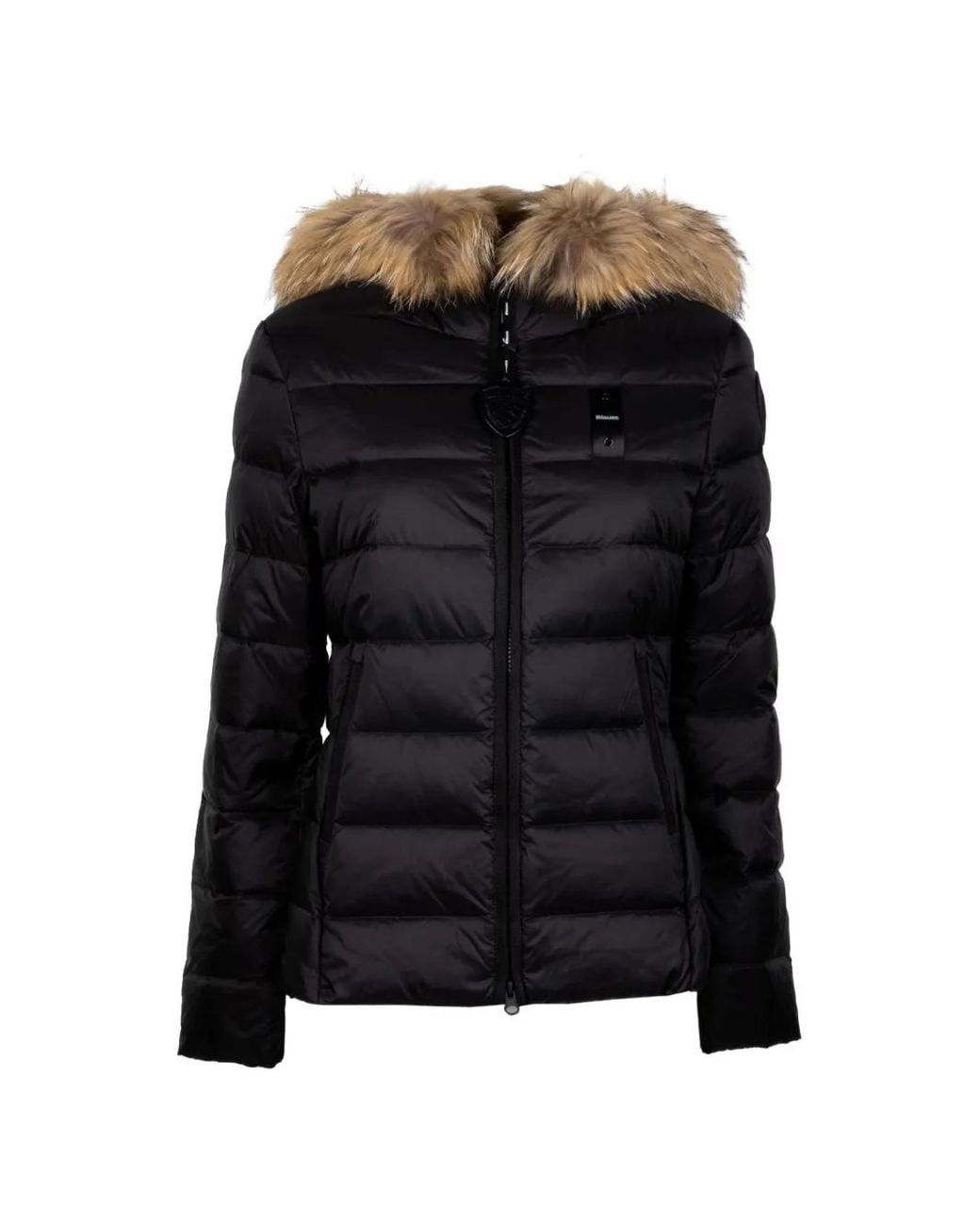 Blauer Donsjack Met Capuchon in het Black