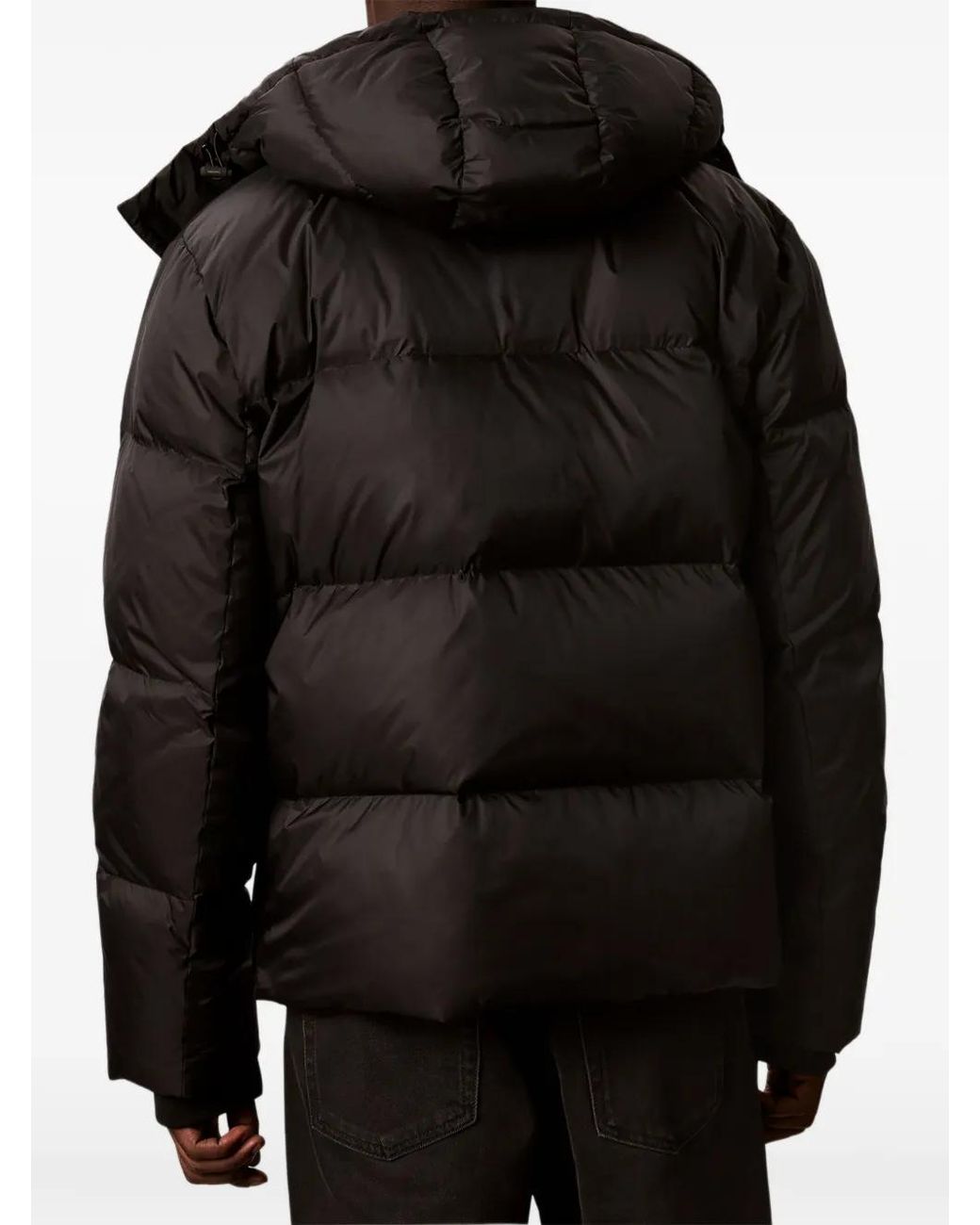 Calvin Klein Black Hooded Padded Jacket for men