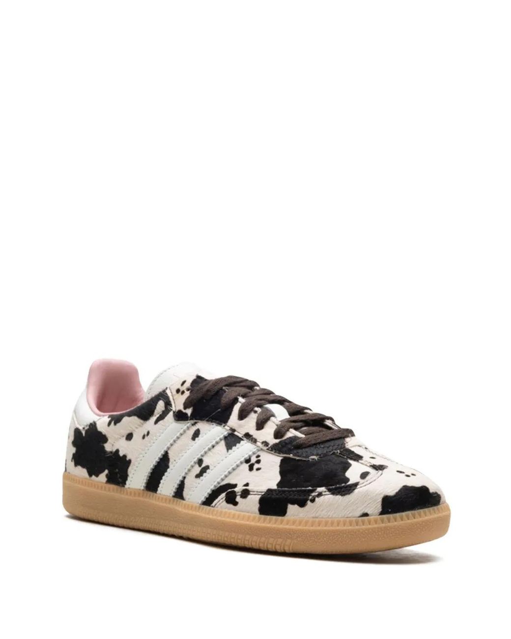adidas gazelle silver green womens Adidas Adistar Control 5 W *Leopard* Sneaker  Buy online now!