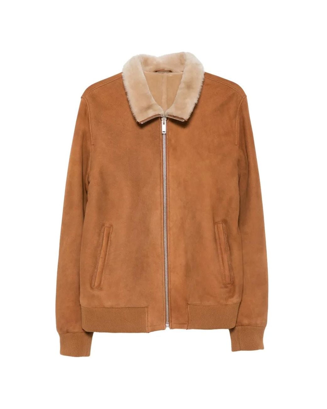SERGIO MORETTI FIRENZE Brown Shearling-Collar Jacket for men