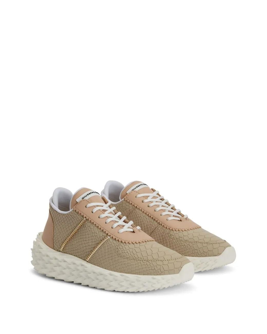 Giuseppe Zanotti Natural Urchin