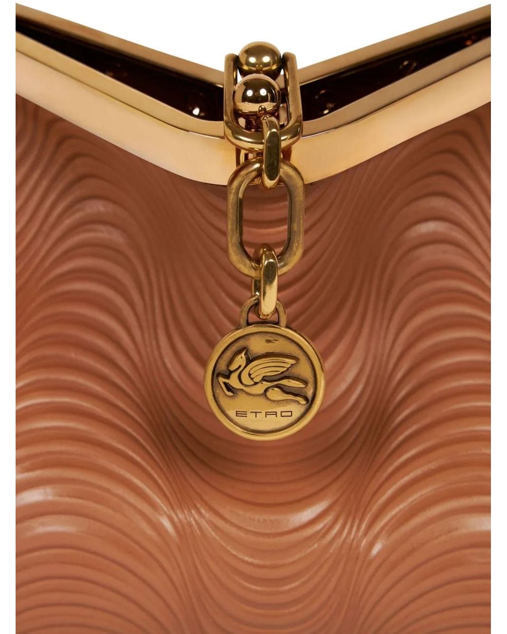 Borsa A Spalla Vela Piccola di Etro in Brown