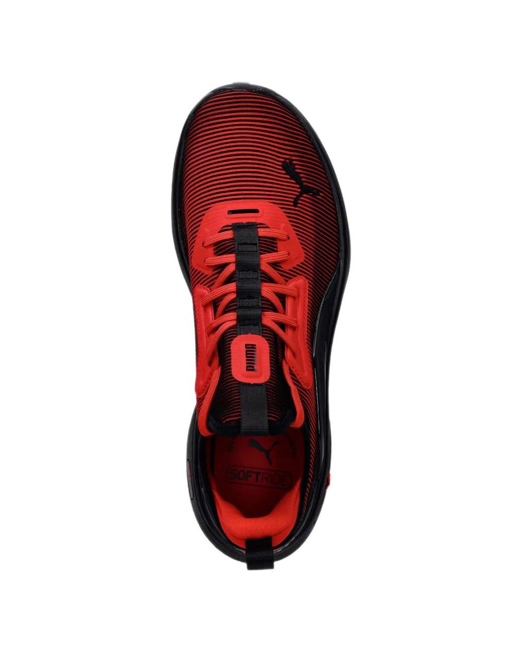 PUMA Red Baskets Softride Enzo 6 Hype for men