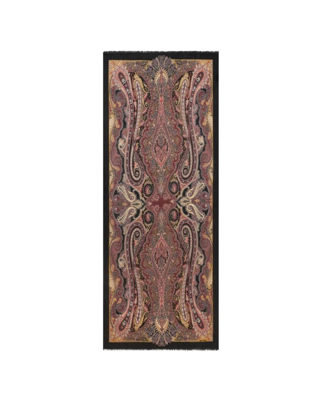 Sciarpa di Etro in Brown