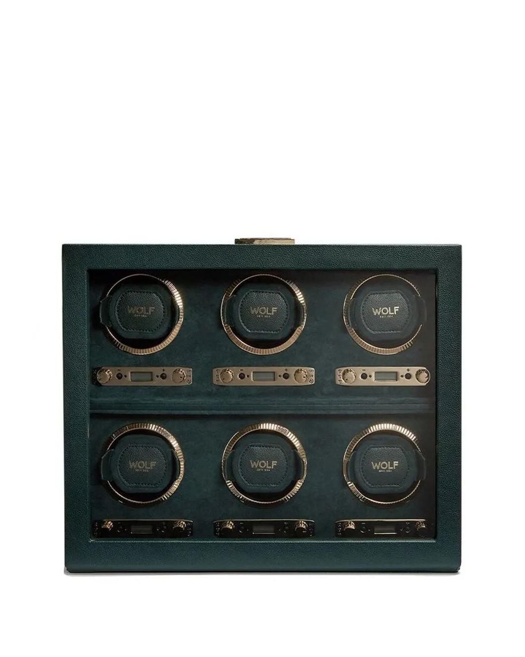 Rotore British Racing 6Pc di Wolf in Black