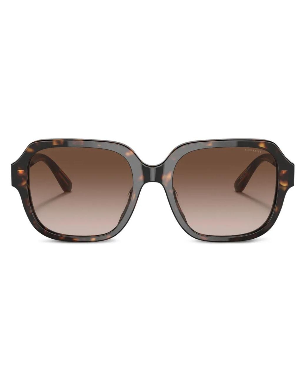 COACH Brown Hc8335U C7989 Square-Frame Sunglasses