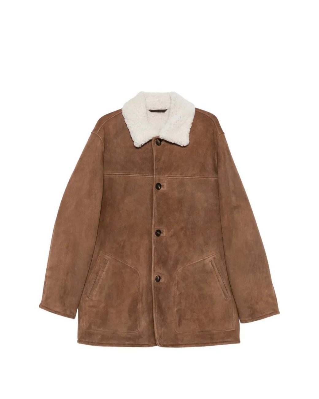 Manzoni 24 Brown Manteau À Col En Peau Lainée for men