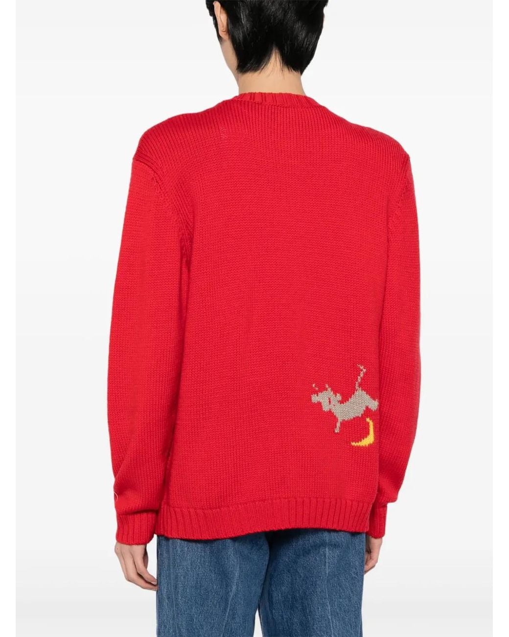 Bode Red Novelty Prose Wool Cardigan for men