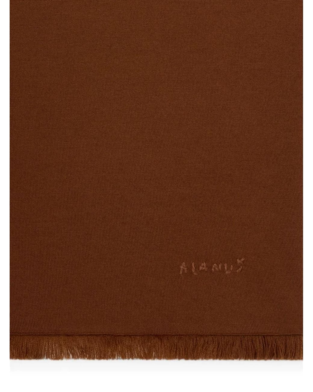 Alanui Brown Fringed Logo-Embroidered T-Shirt for men