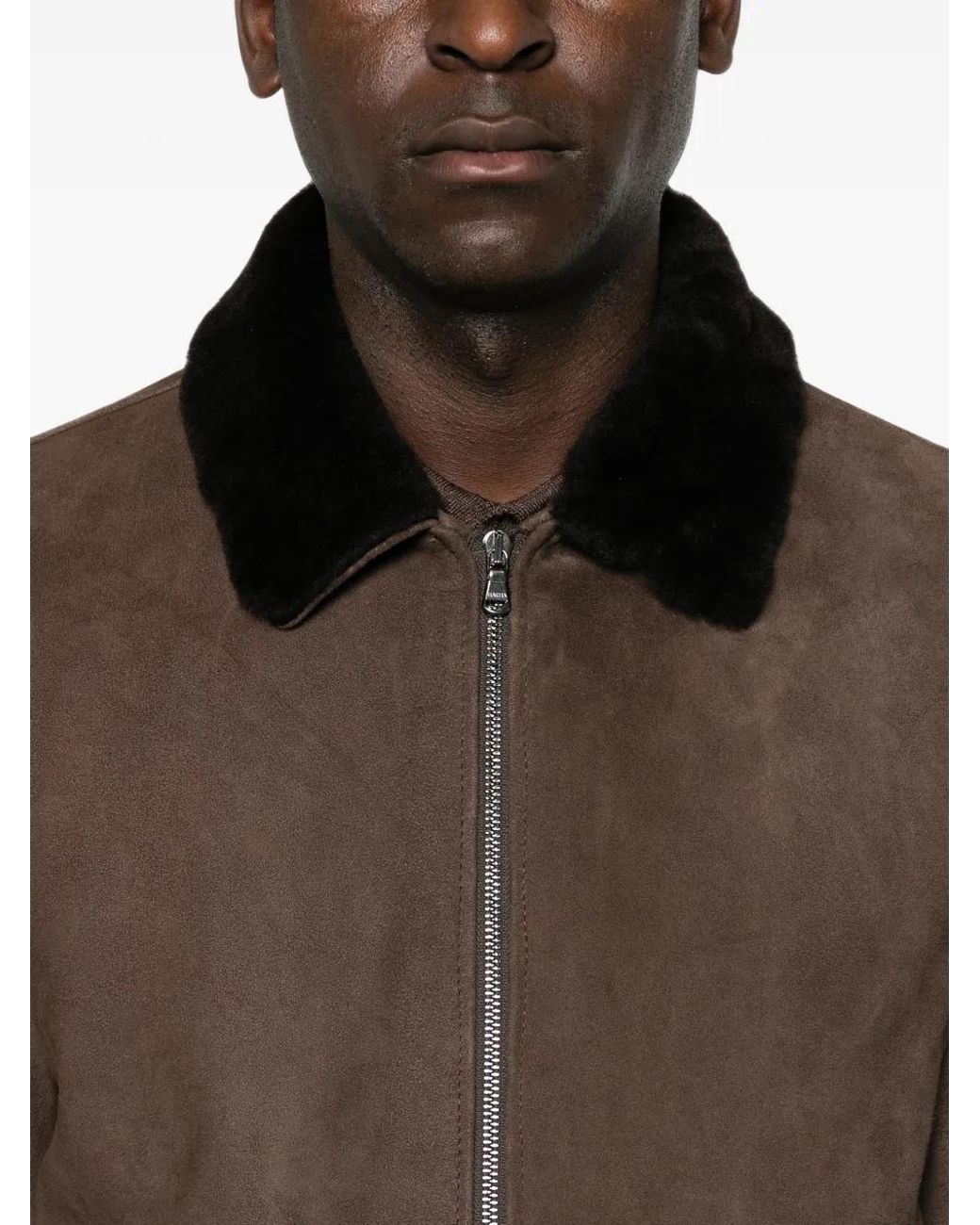 Barba Napoli Brown Boston Shearling-Collar Suede Jacket for men