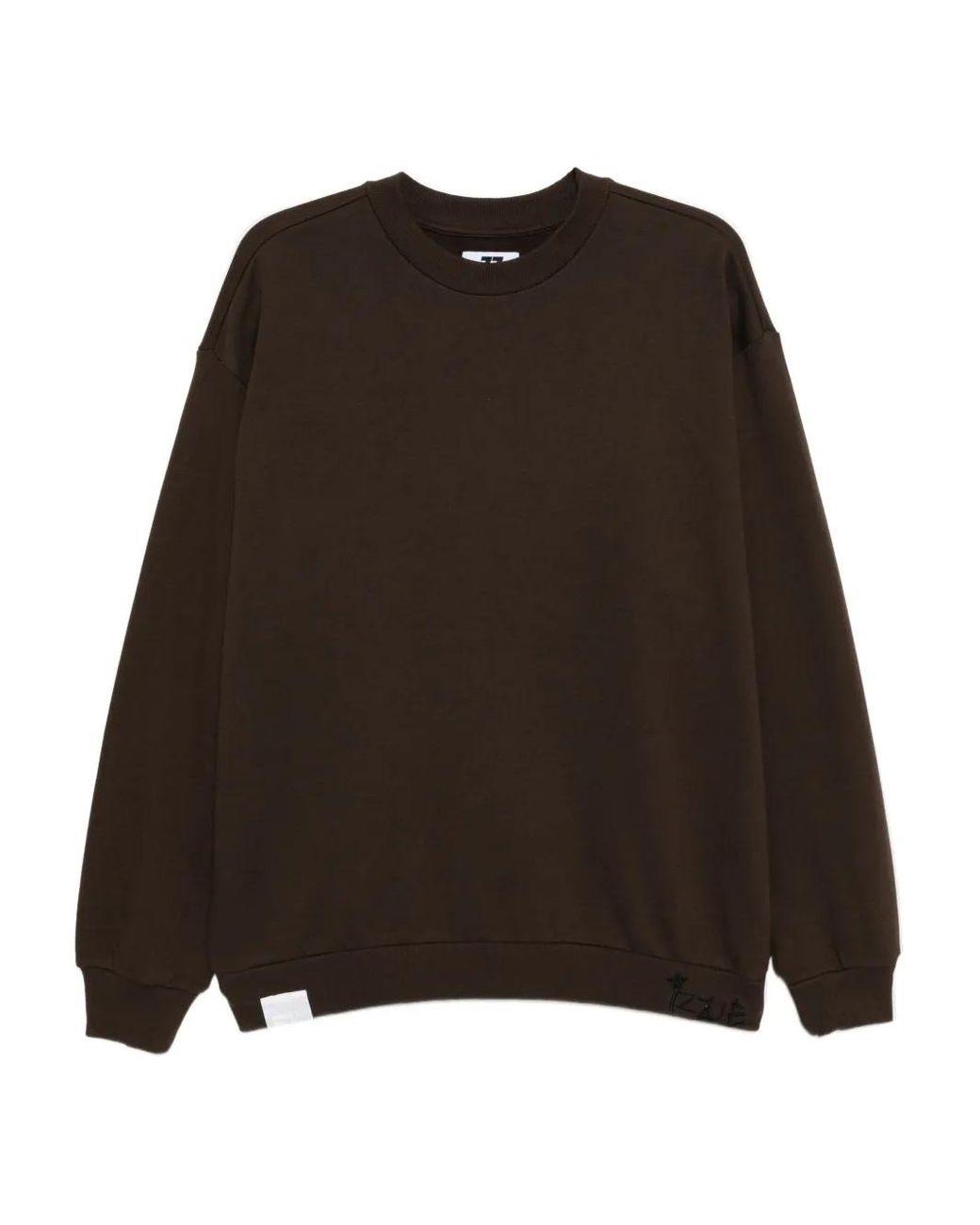 Izzue Brown Logo-Embroidered Sweatshirt for men
